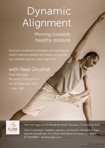 Dynamic Alignment with Neal Ghoshal, Flow Hot Yoga, Nov 2017