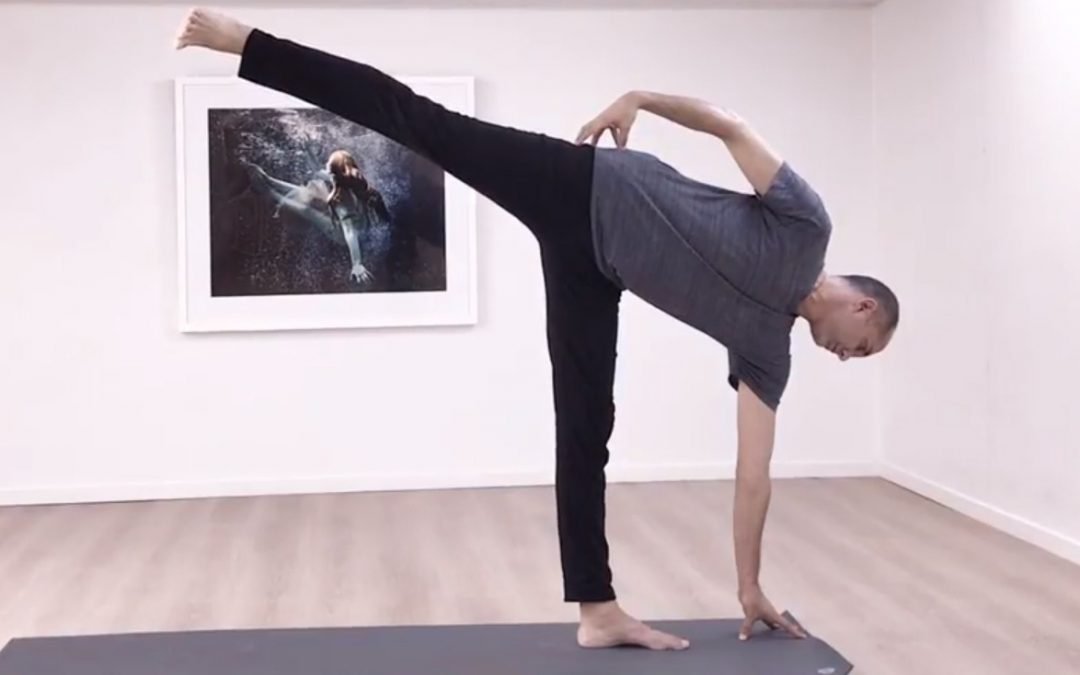 Half Moon to Child's Pose Flow, Neal Ghoshal, Contemporary Yoga Teacher Training, Sacred Moves