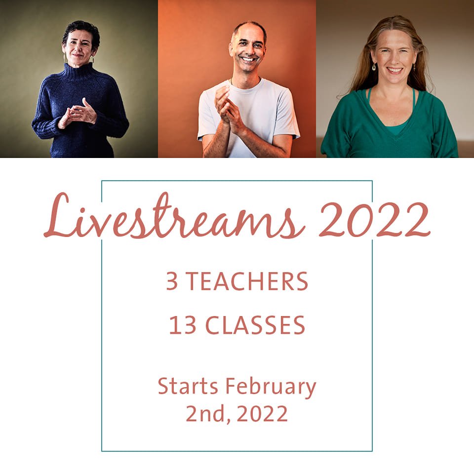 Livestreams 2022, Donna Farhi, Neal Ghoshal, Lisa Petersen