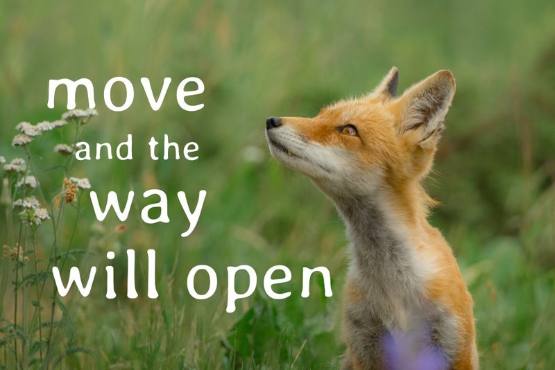 Move and The Way Will Open Course