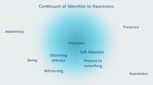 The continuum of Attention to Awareness