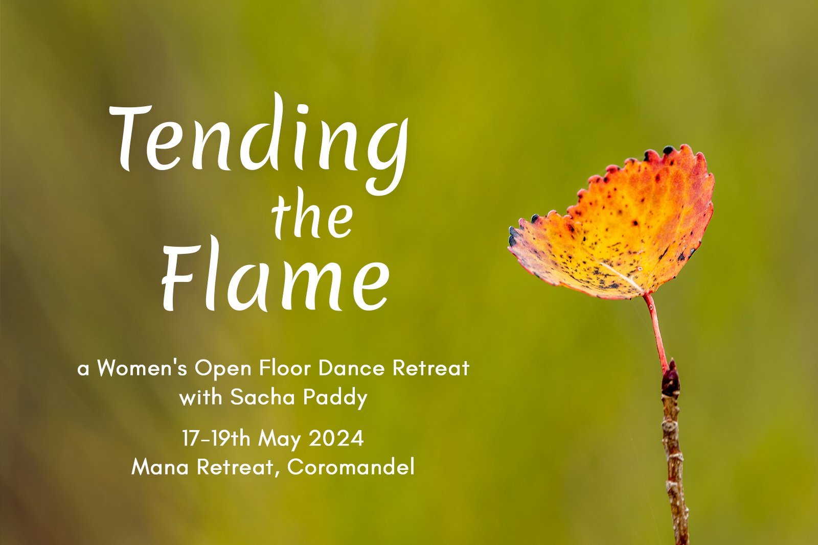 Tending the Flame, a Women's Open Floor Dance Retreat, with Sacha Paddy